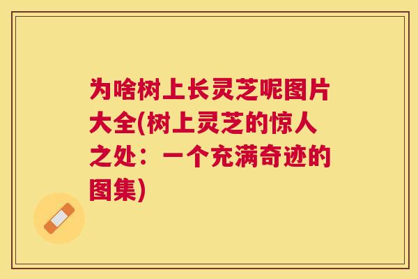 为啥树上长灵芝呢图片大全(树上灵芝的惊人之处：一个充满奇迹的图集)