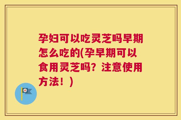 孕妇可以吃灵芝吗早期怎么吃的(孕早期可以食用灵芝吗？注意使用方法！)