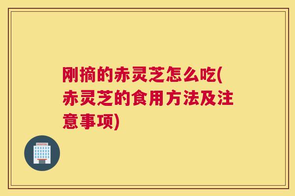 刚摘的赤灵芝怎么吃(赤灵芝的食用方法及注意事项)