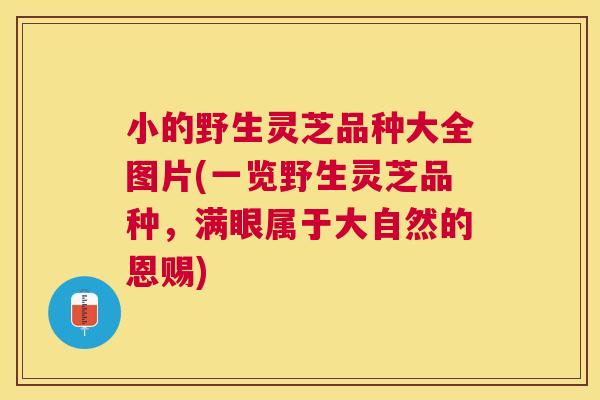 小的野生灵芝品种大全图片(一览野生灵芝品种，满眼属于大自然的恩赐)
