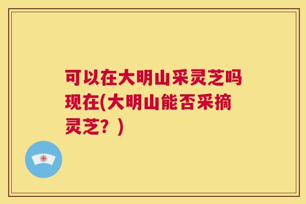 可以在大明山采灵芝吗现在(大明山能否采摘灵芝？)