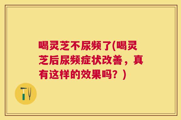 喝灵芝不尿频了(喝灵芝后尿频症状改善，真有这样的效果吗？)