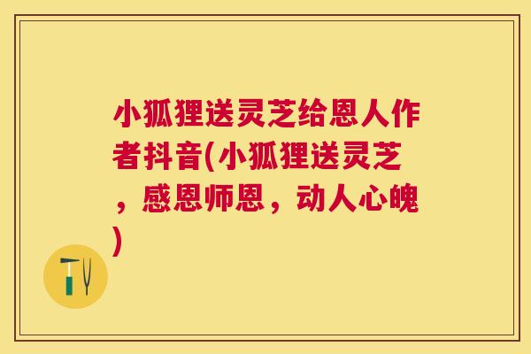 小狐狸送灵芝给恩人作者抖音(小狐狸送灵芝，感恩师恩，动人心魄)