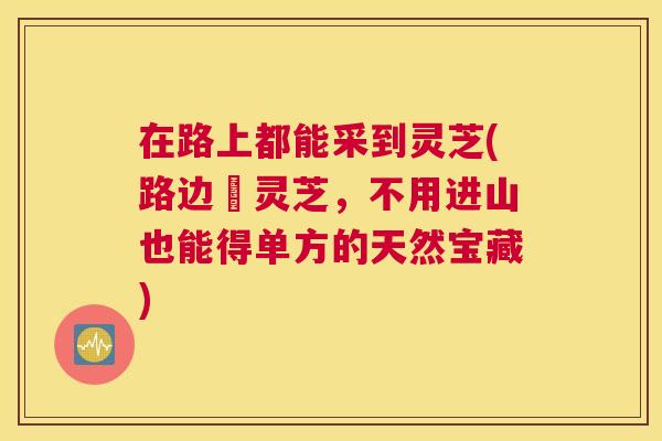 在路上都能采到灵芝(路边採灵芝，不用进山也能得单方的天然宝藏)