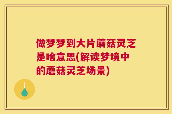 做梦梦到大片蘑菇灵芝是啥意思(解读梦境中的蘑菇灵芝场景)