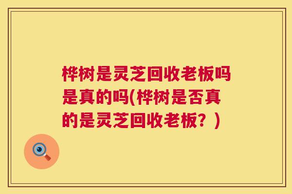 桦树是灵芝回收老板吗是真的吗(桦树是否真的是灵芝回收老板？)