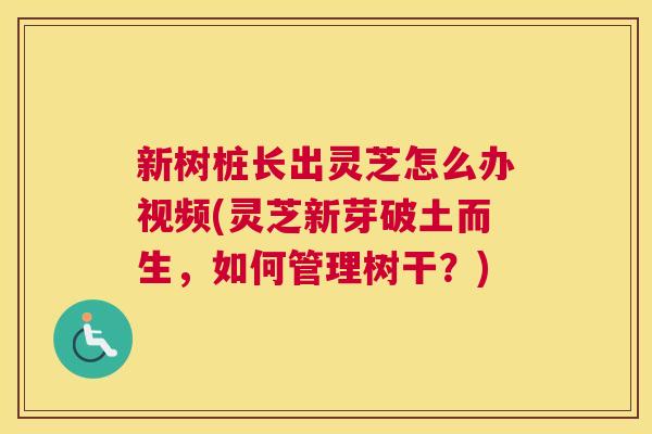 新树桩长出灵芝怎么办视频(灵芝新芽破土而生，如何管理树干？)