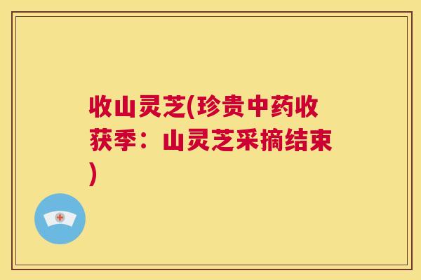 收山灵芝(珍贵中药收获季：山灵芝采摘结束)