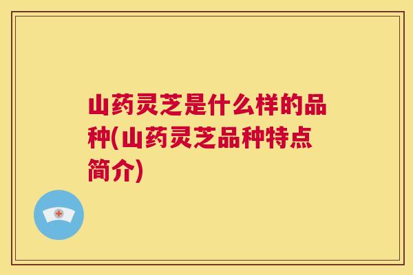山药灵芝是什么样的品种(山药灵芝品种特点简介)
