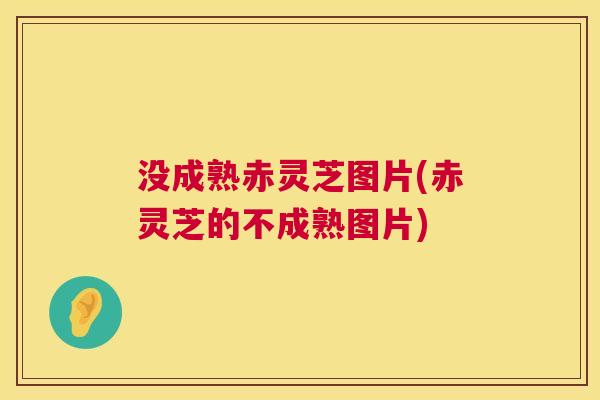 没成熟赤灵芝图片(赤灵芝的不成熟图片)