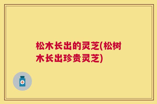 松木长出的灵芝(松树木长出珍贵灵芝)