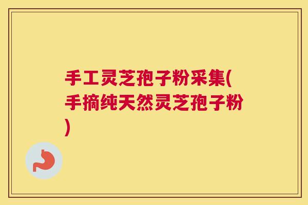 手工灵芝孢子粉采集(手摘纯天然灵芝孢子粉)