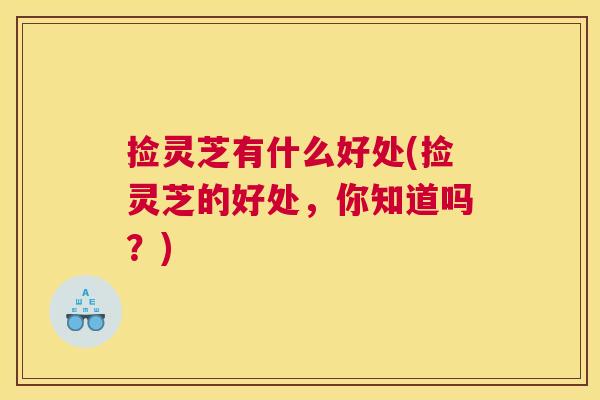 捡灵芝有什么好处(捡灵芝的好处，你知道吗？)