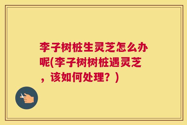 李子树桩生灵芝怎么办呢(李子树树桩遇灵芝,该如何处理?) 李子树桩生灵芝怎么办呢(李子树树桩遇灵芝,该如何处理?)