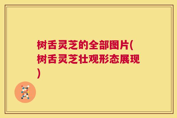 树舌灵芝的全部图片(树舌灵芝壮观形态展现)
