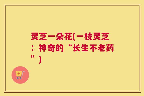灵芝一朵花(一枝灵芝：神奇的“长生不老药”)