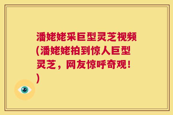 潘姥姥采巨型灵芝视频(潘姥姥拍到惊人巨型灵芝，网友惊呼奇观！)