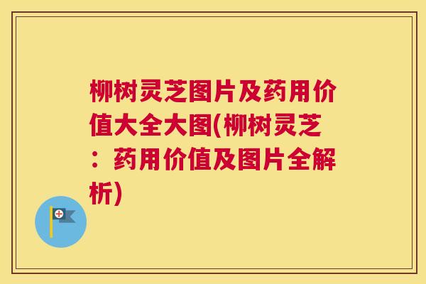 柳树灵芝图片及药用价值大全大图(柳树灵芝：药用价值及图片全解析)