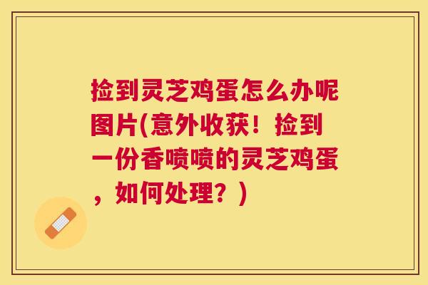 捡到灵芝鸡蛋怎么办呢图片(意外收获!捡到一份香喷喷的灵芝鸡蛋,如何处理?) 捡到灵芝鸡蛋怎么办呢图片(意外收获!捡到一份香喷喷的灵芝鸡蛋,如何处理?)