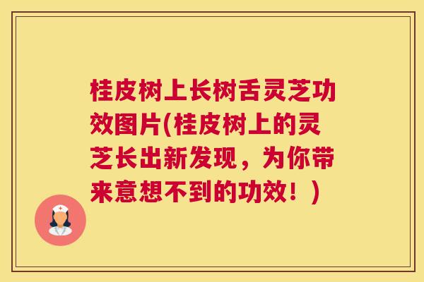 桂皮树上长树舌灵芝功效图片(桂皮树上的灵芝长出新发现，为你带来意想不到的功效！)