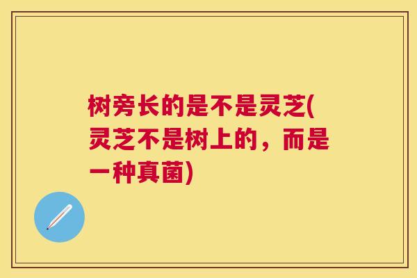 树旁长的是不是灵芝(灵芝不是树上的，而是一种真菌)