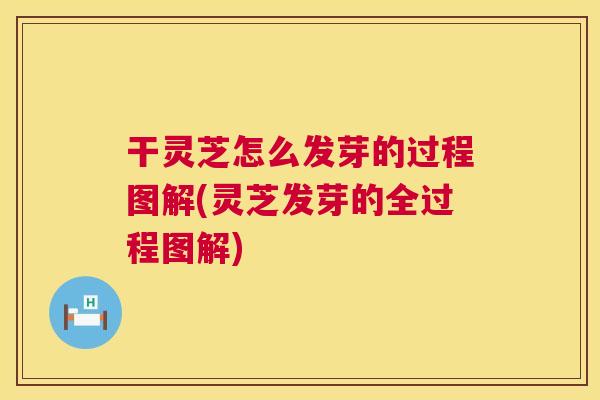干灵芝怎么发芽的过程图解(灵芝发芽的全过程图解)