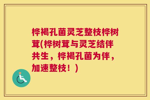 桦褐孔菌灵芝整枝桦树茸(桦树茸与灵芝结伴共生，桦褐孔菌为伴，加速整枝！)