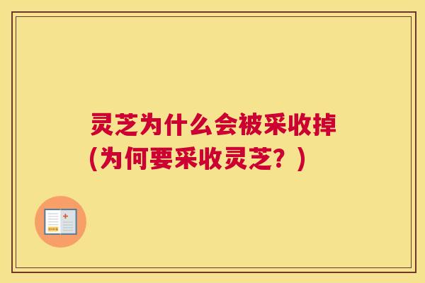灵芝为什么会被采收掉(为何要采收灵芝？)