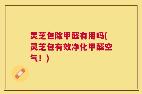 灵芝包除甲醛有用吗(灵芝包有效净化甲醛空气！)