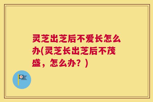 灵芝出芝后不爱长怎么办(灵芝长出芝后不茂盛，怎么办？)