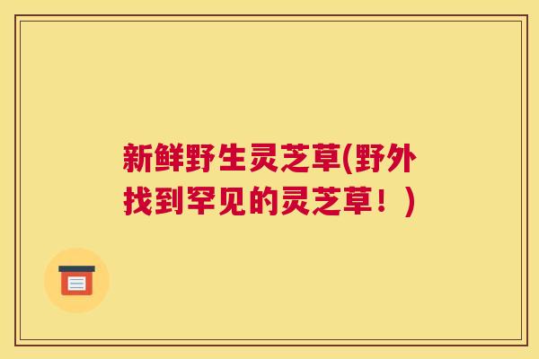 新鲜野生灵芝草(野外找到罕见的灵芝草!) 新鲜野生灵芝草(野外找到罕见的灵芝草!)