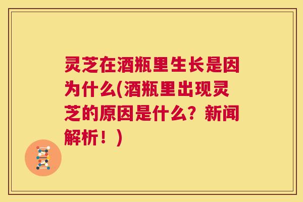 灵芝在酒瓶里生长是因为什么(酒瓶里出现灵芝的原因是什么？新闻解析！)