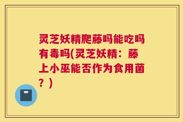 灵芝妖精爬藤吗能吃吗有毒吗(灵芝妖精：藤上小巫能否作为食用菌？)
