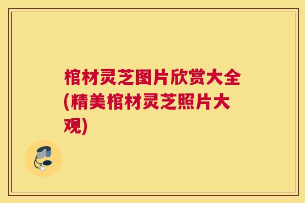 棺材灵芝图片欣赏大全(精美棺材灵芝照片大观) 棺材灵芝图片欣赏大全(精美棺材灵芝照片大观)