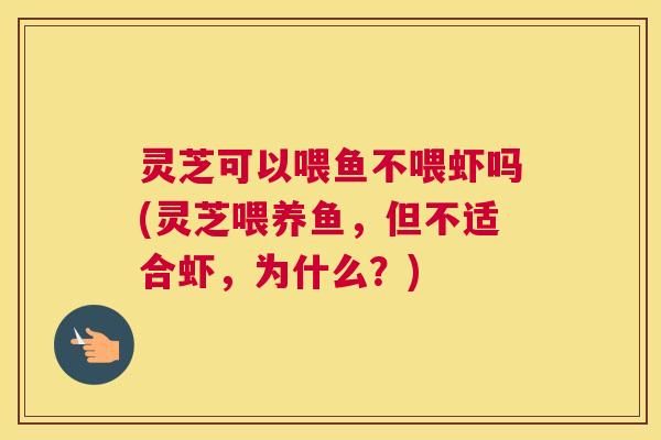 灵芝可以喂鱼不喂虾吗(灵芝喂养鱼，但不适合虾，为什么？)