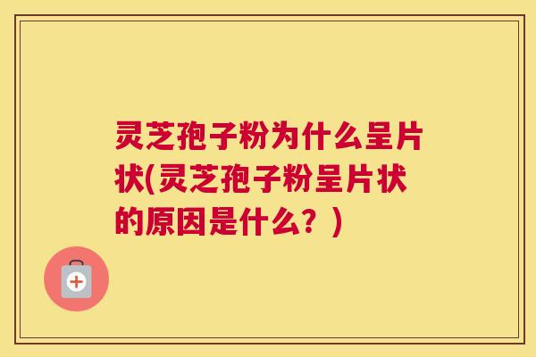 灵芝孢子粉为什么呈片状(灵芝孢子粉呈片状的原因是什么？)