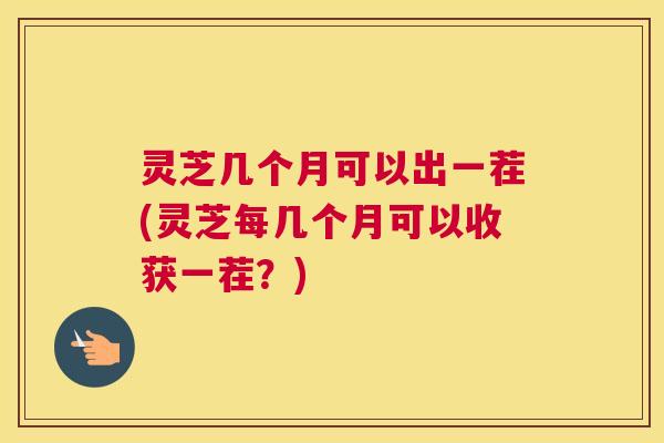灵芝几个月可以出一茬(灵芝每几个月可以收获一茬？)