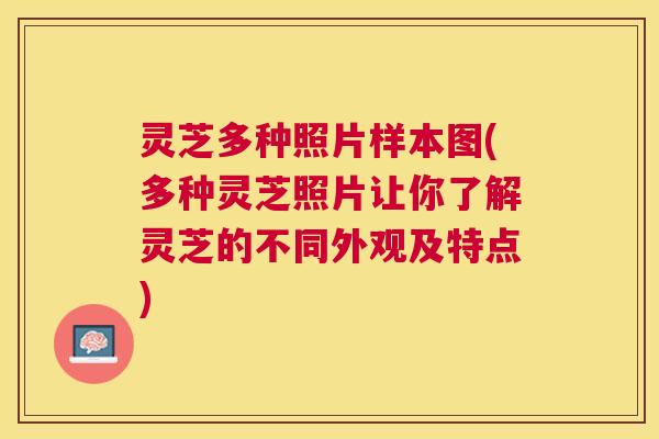 灵芝多种照片样本图(多种灵芝照片让你了解灵芝的不同外观及特点) 灵芝多种照片样本图(多种灵芝照片让你了解灵芝的不同外观及特点)