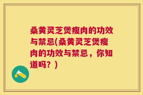 桑黄灵芝煲瘦肉的功效与禁忌(桑黄灵芝煲瘦肉的功效与禁忌，你知道吗？)