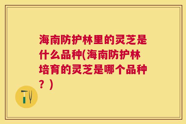海南防护林里的灵芝是什么品种(海南防护林培育的灵芝是哪个品种？)