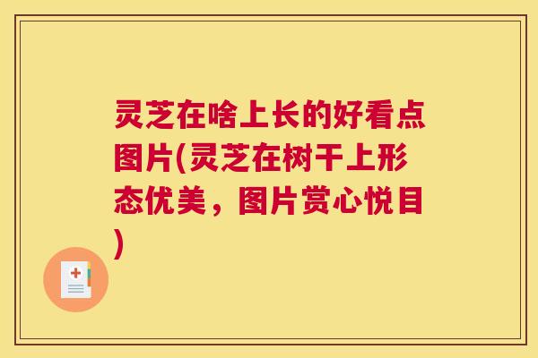 灵芝在啥上长的好看点图片(灵芝在树干上形态优美，图片赏心悦目)