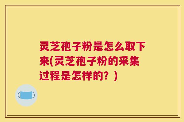 灵芝孢子粉是怎么取下来(灵芝孢子粉的采集过程是怎样的?) 灵芝孢子粉是怎么取下来(灵芝孢子粉的采集过程是怎样的?)