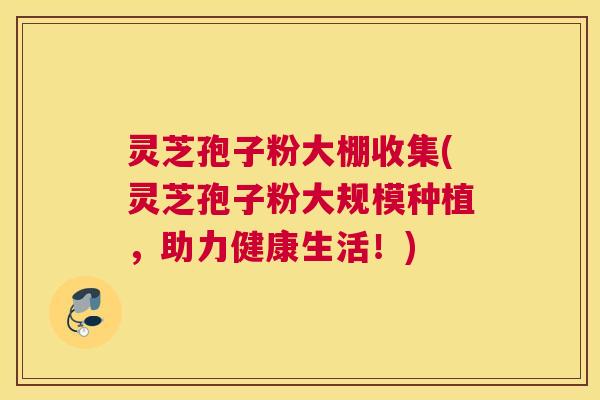 灵芝孢子粉大棚收集(灵芝孢子粉大规模种植，助力健康生活！)