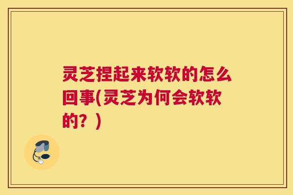 灵芝捏起来软软的怎么回事(灵芝为何会软软的？)