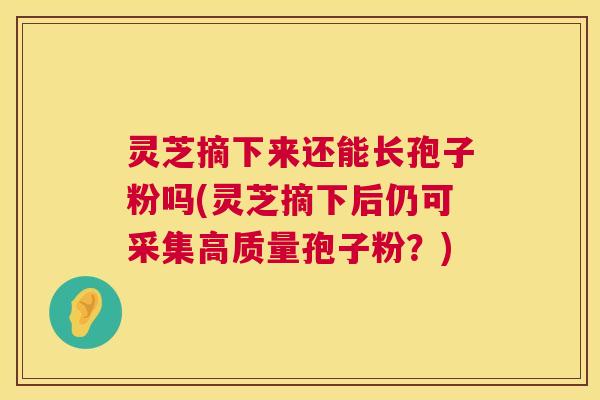 灵芝摘下来还能长孢子粉吗(灵芝摘下后仍可采集高质量孢子粉？)