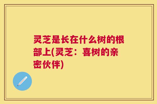 灵芝是长在什么树的根部上(灵芝：喜树的亲密伙伴)