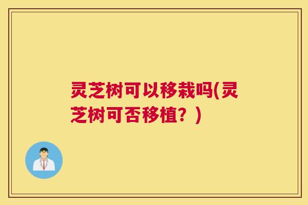 灵芝树可以移栽吗(灵芝树可否移植？)