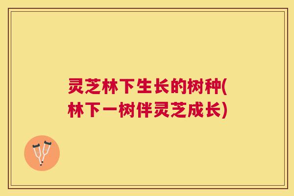 灵芝林下生长的树种(林下一树伴灵芝成长)