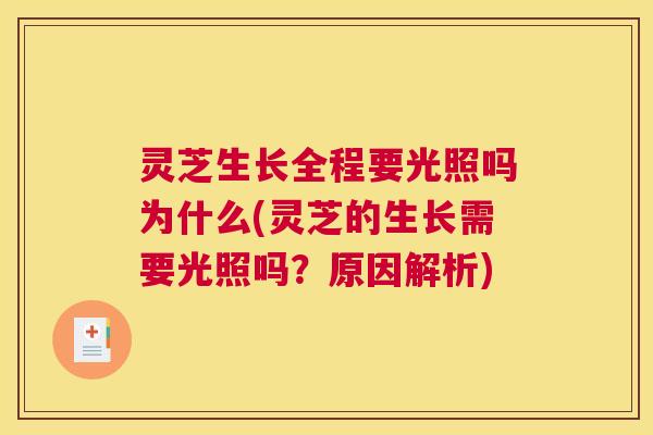 灵芝生长全程要光照吗为什么(灵芝的生长需要光照吗？原因解析)