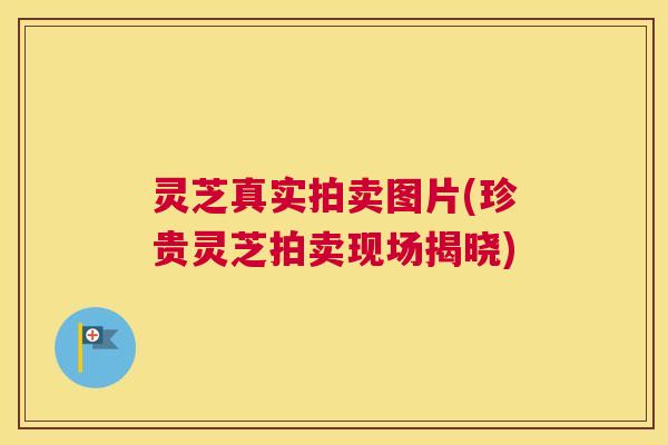 灵芝真实拍卖图片(珍贵灵芝拍卖现场揭晓)